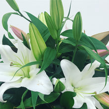 Classic Lillies & Stock